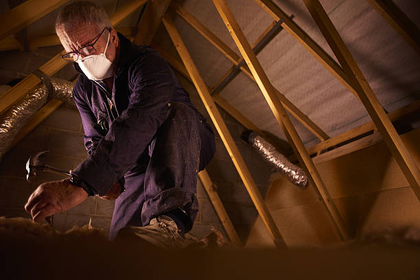 Best Commercial Insulation in Shively, KY